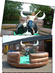 rodeo bull hire weymouth,tollard royal,dorchester, blandford, sailsbury, sherborne, shaftesbury,dorset